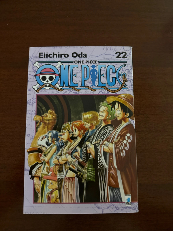 One piece 22