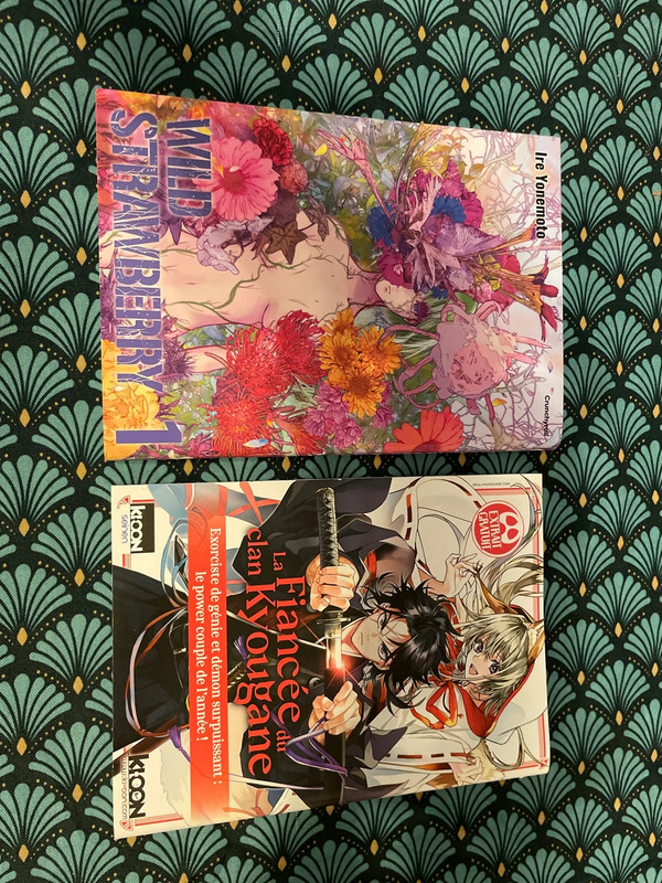 Manga Wild Strawberry + Échantillon Manga