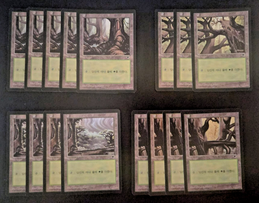 16 basic land Tempest (Forest) MTG MAGIC Language Korean Excellent condition