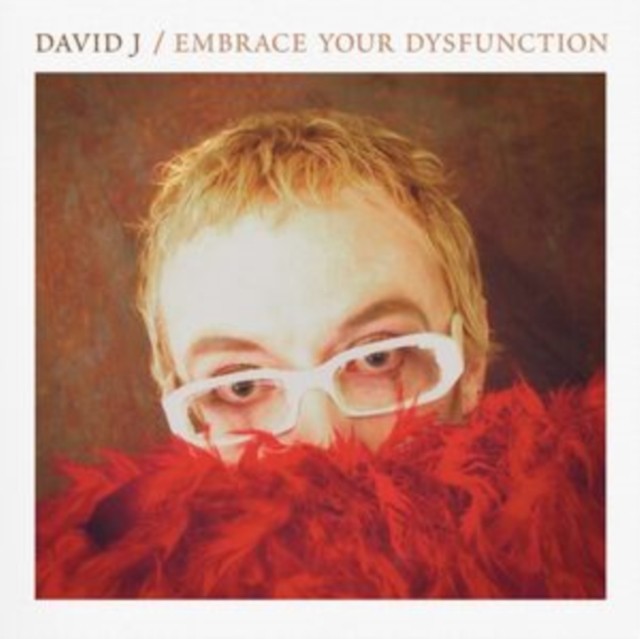DAVID J - EMBRACE YOUR DYSFUNCTION - Vinyl Record - Q842z
