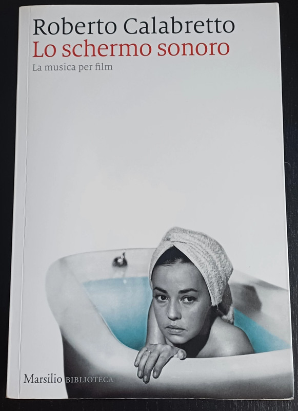 Lo schermo sonoro. La musica per film