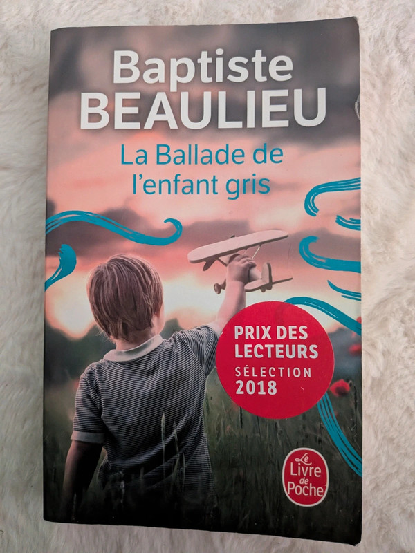 La ballade de l'enfant gris de Baptiste Beaulieu