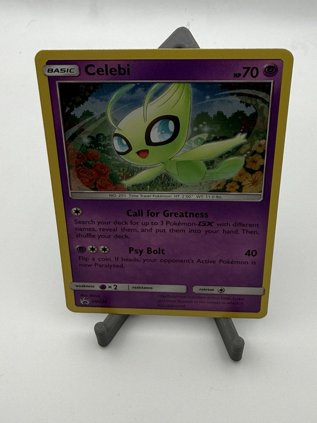 Celebi SM224 Sm Holo