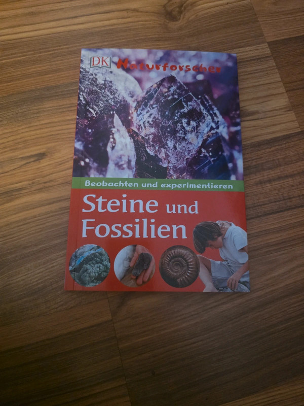Steine und Fossilien