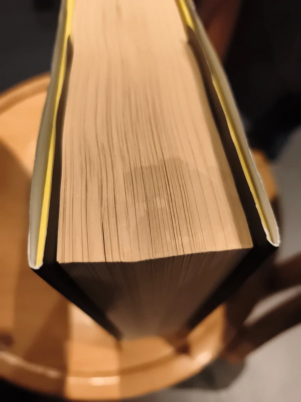 Libro mentira