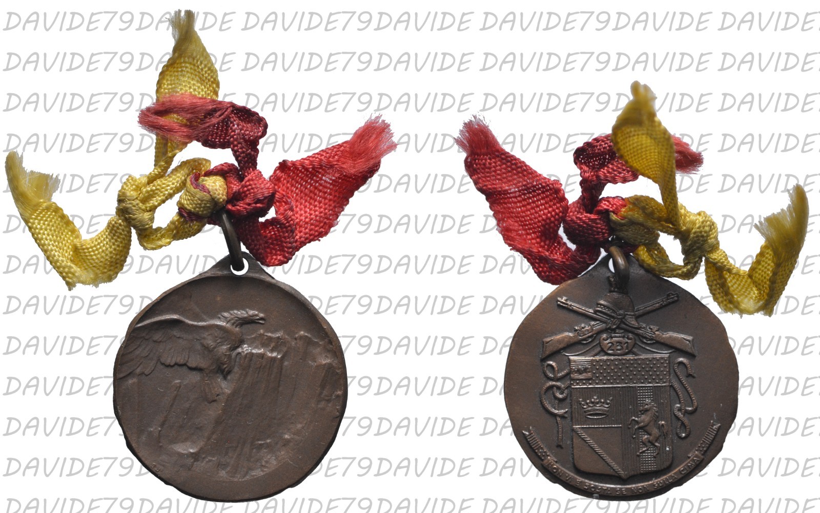 03511] MEDAGLIA COMMEMORATIVA DEL 231° REGGIMENTO FANTERIA AVELLINO 1920 1930