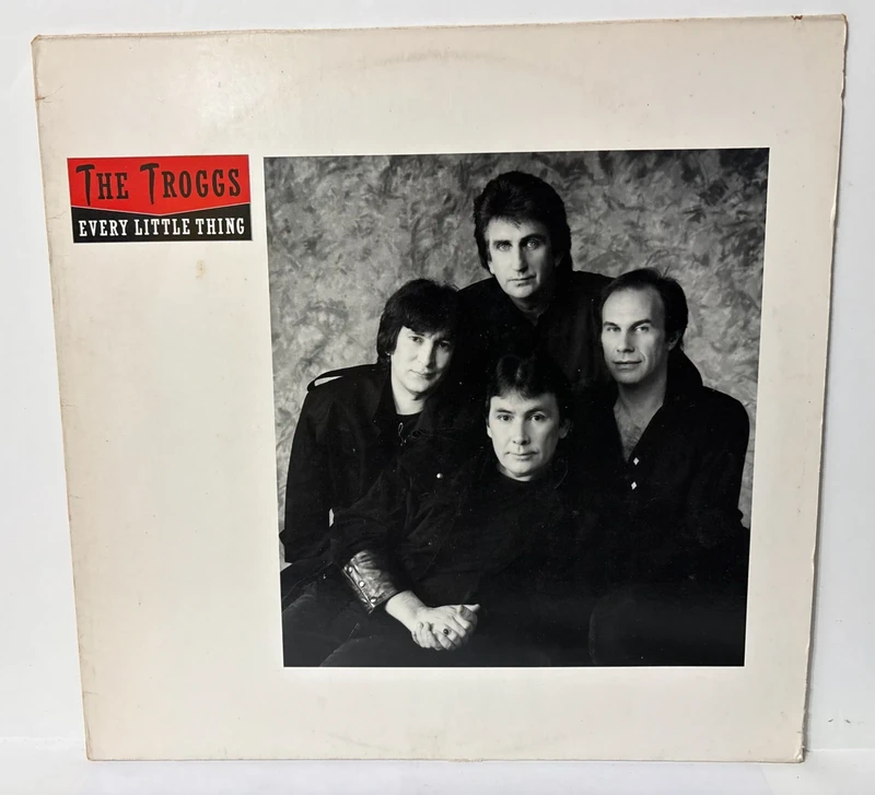 Maxi Single 12" - The Troggs - Every Little Thing
