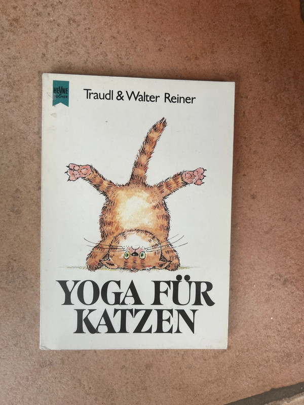 Yoga für Katzen