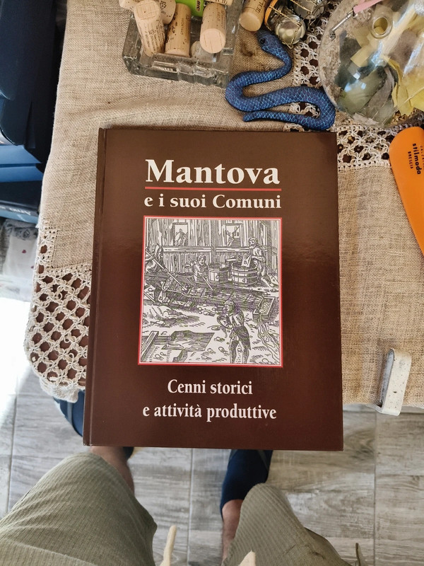 Libro Mantova e i suoi comuni