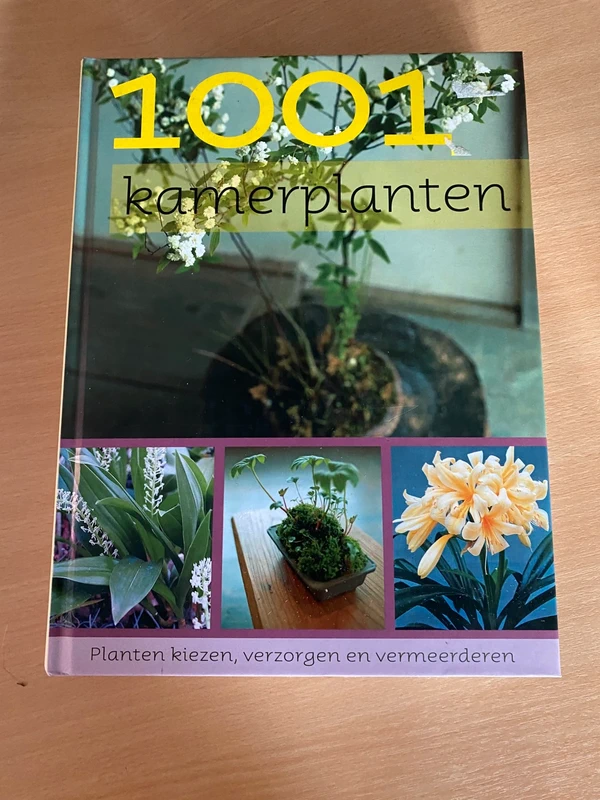 1001 Kamerplanten