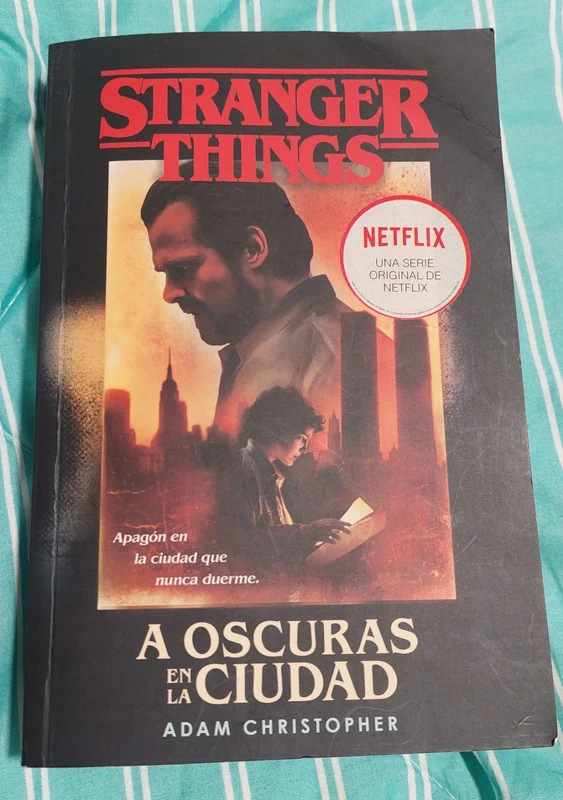 Libro Stranger Things