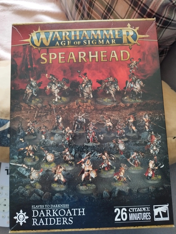 Fer de Lance Darkoath Raiders AOS