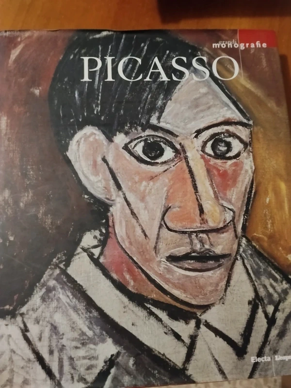Libro pittori, Picasso