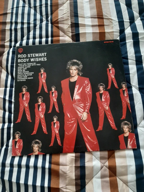 Vinile 33 giri rod stewart