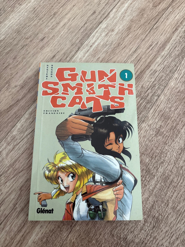 Gun smith cats