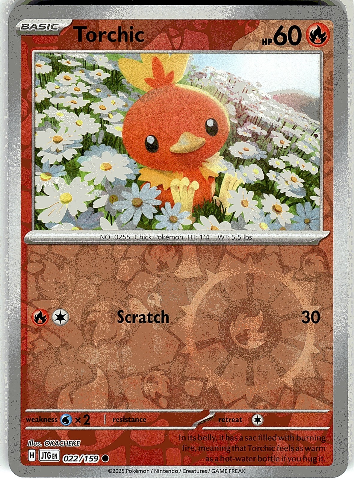 Torchic Journey Together 022/159 Reverse Holo Pokemon TCG NM
