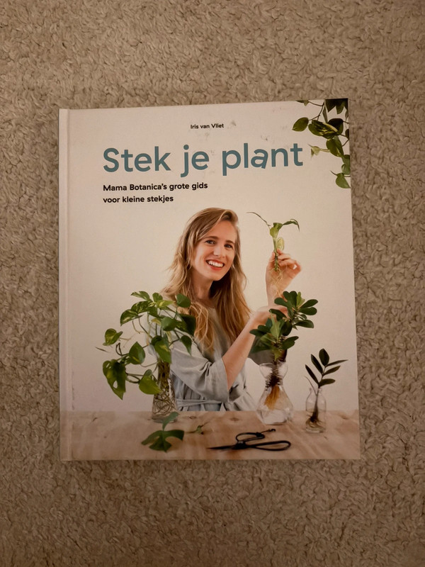 Stel je plant