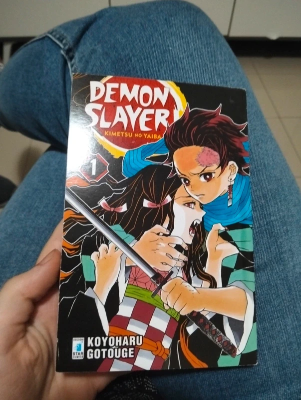 Demon Slayer 1