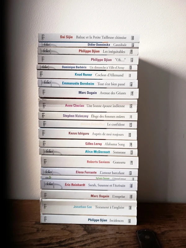 Lot 21 Folio Romans contemporains auteurs reconnus