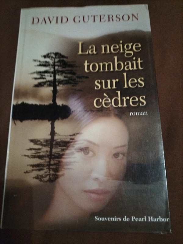 Livre la neige tombait sur les cedres