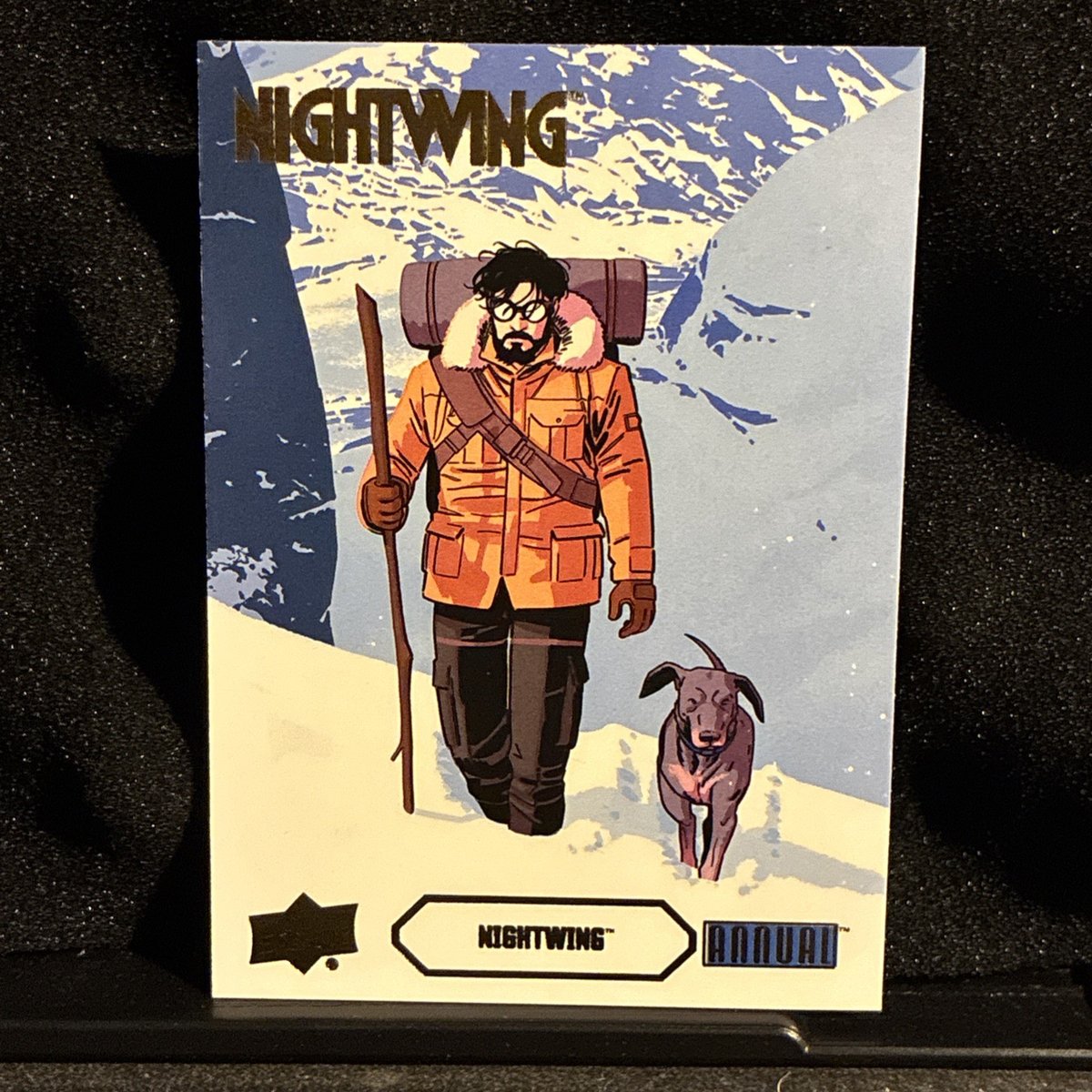 2024-25 Upper Deck DC Annual Nightwing Nw-8