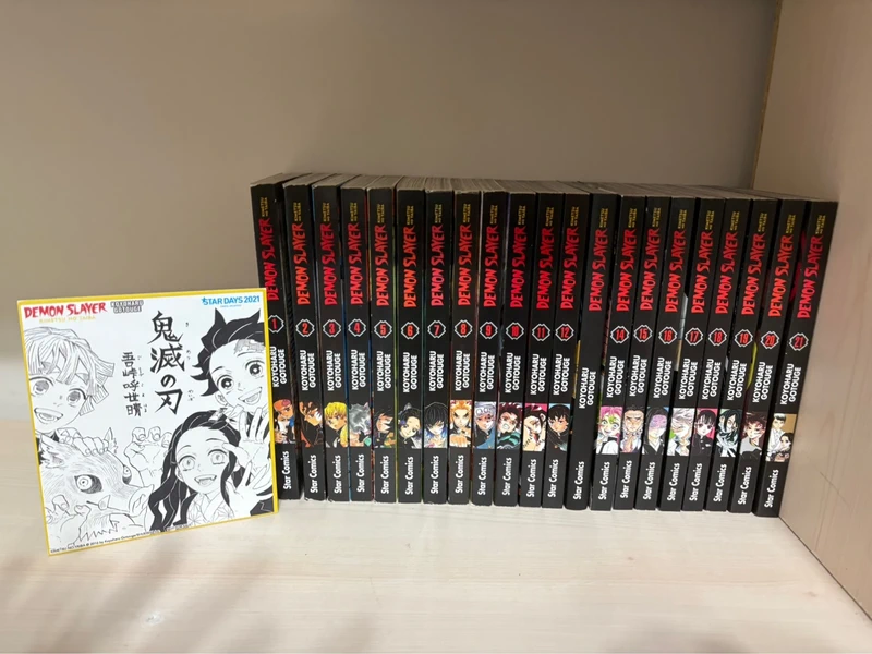 Demon Slayer 1-21 + Romanzo “Il Fiore Della Felicità” (Volume 13 ed. Variant)