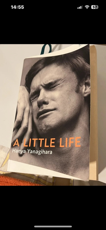 Livro A Little Life em inglês