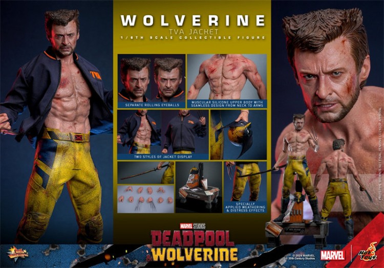 Hot Toys MMS756 Deadpool & Wolverine Wolverine TVA Jacket Ver 1/6 Action Figure