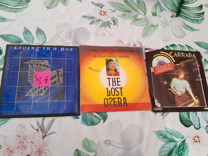 Vinyles