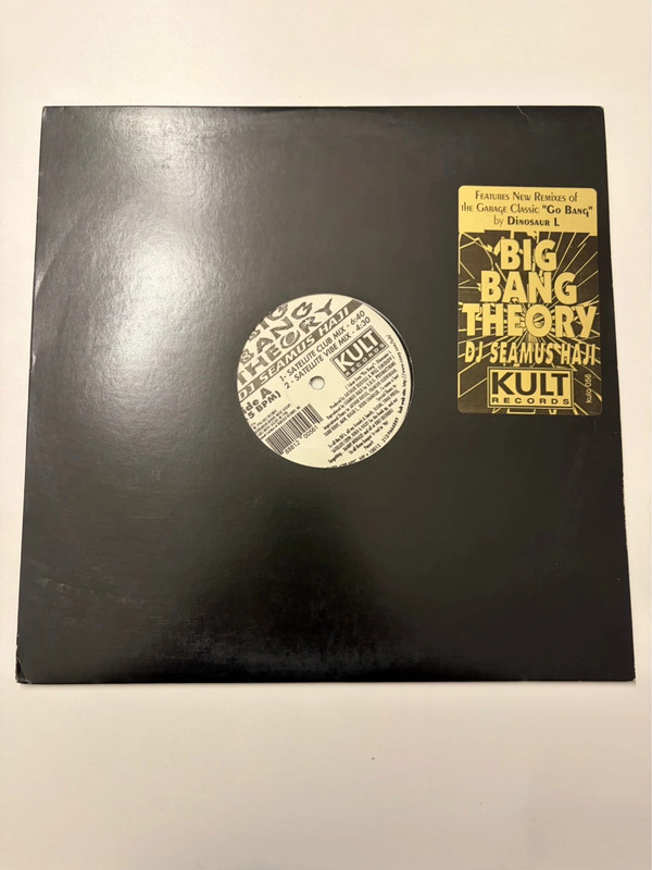 Vinile Dj Seamus Haji - The big bang theory