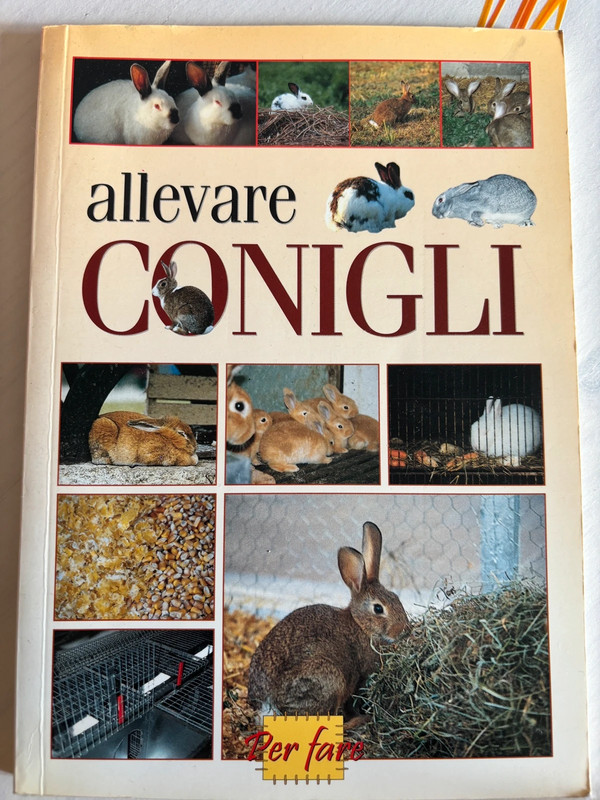 Allevare conigli