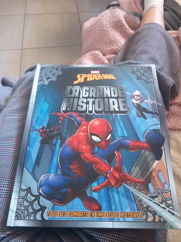 La grande histoire  spiderman