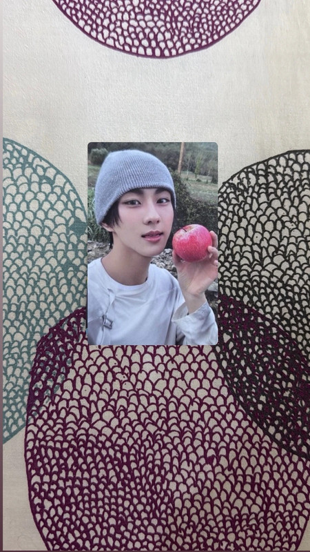 WTS Enhypen Jungwon The Sin Vanish Fugitive version pc