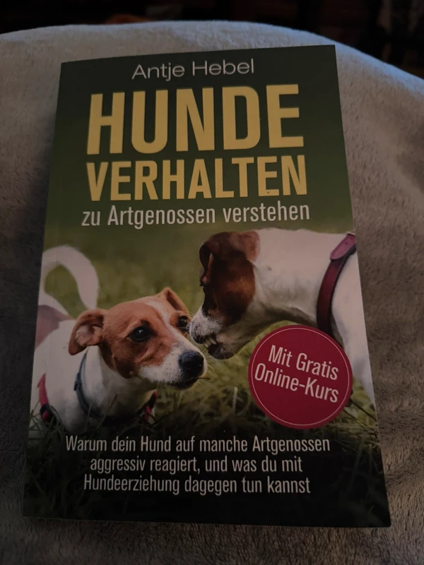 Hundeverhalten zu Artgenossen verstehen: Warum dein Hund auf manche Artgenossen aggressiv reagiert,