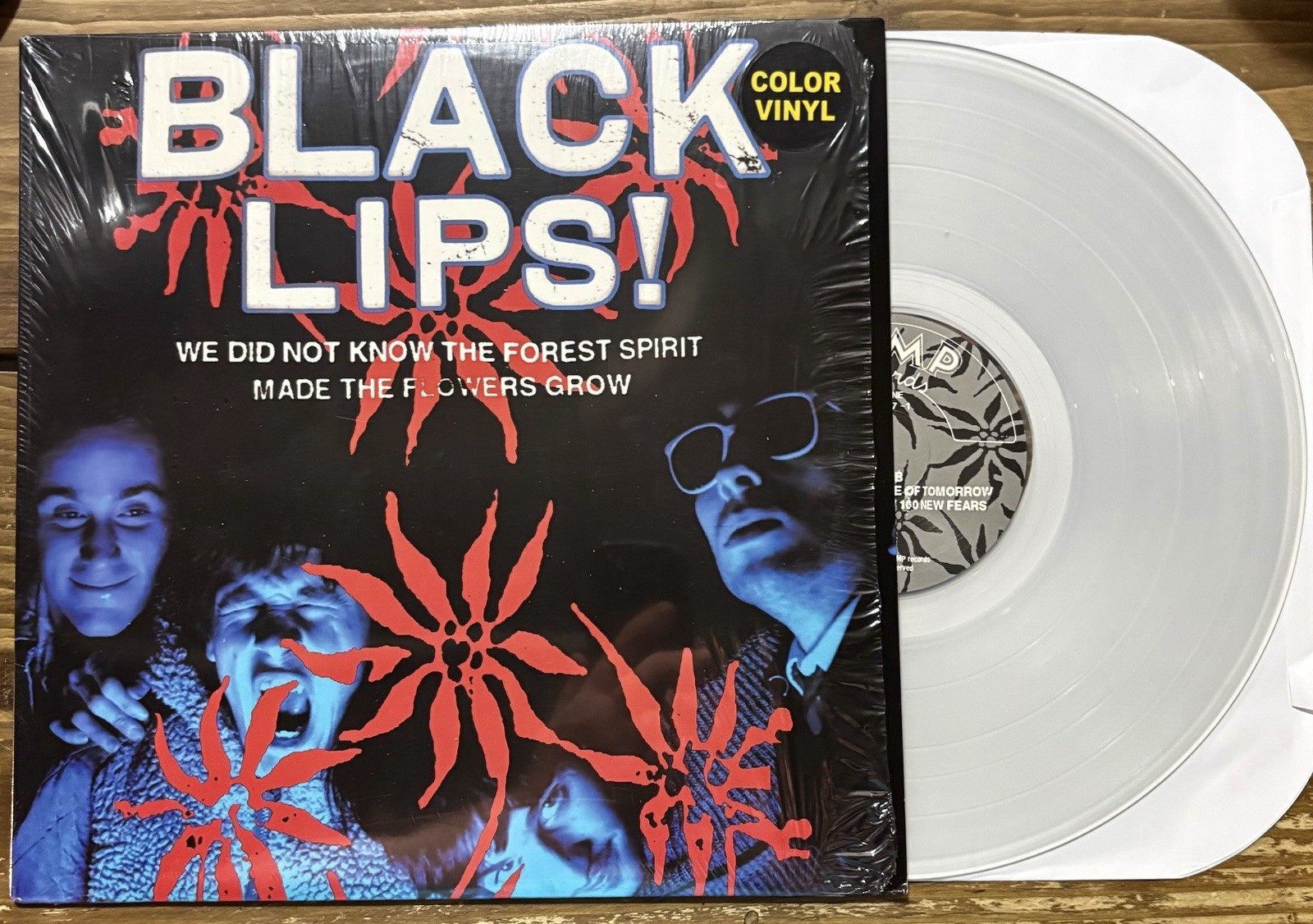 Black Lips / We Did Not Know The Forest Spirit Made The Flowers Grow - VINYL LP