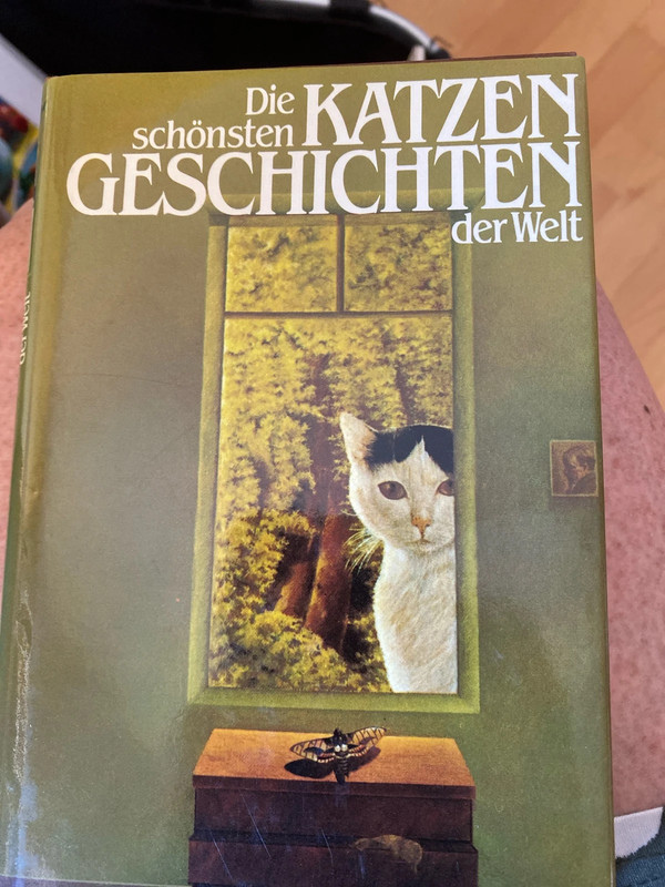 Die schönsten Katzengeschichten der Welt