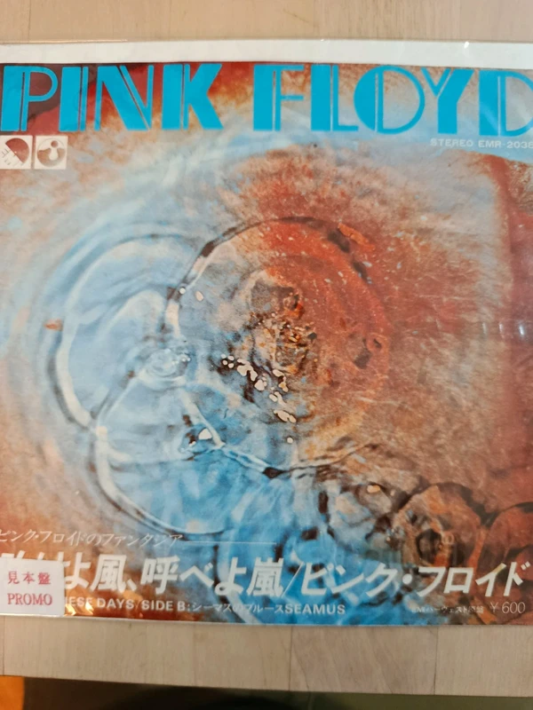 Pink Floyd 45 One of these days / Seamus