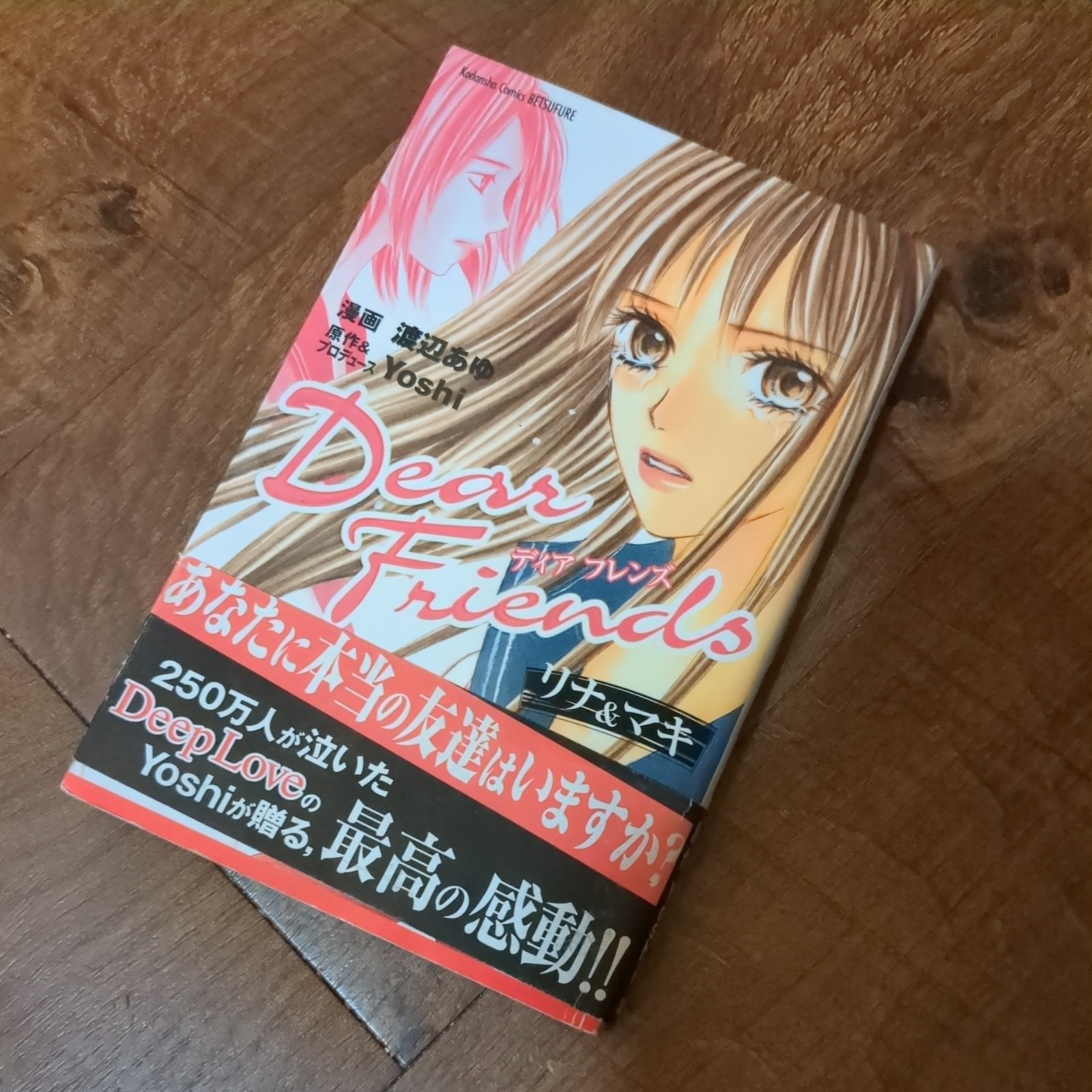 Dear Friends: Rina & Maki manga giapponese fumetto