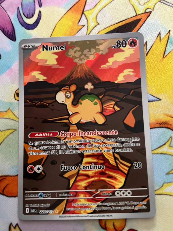 Numel 223/217