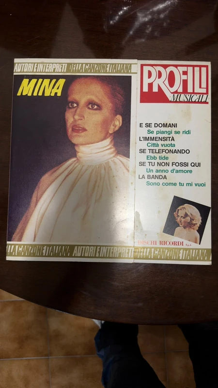 MINA - Profili Musicali Dischi Ricordi 1982 LP Vinile Raro con Foto
