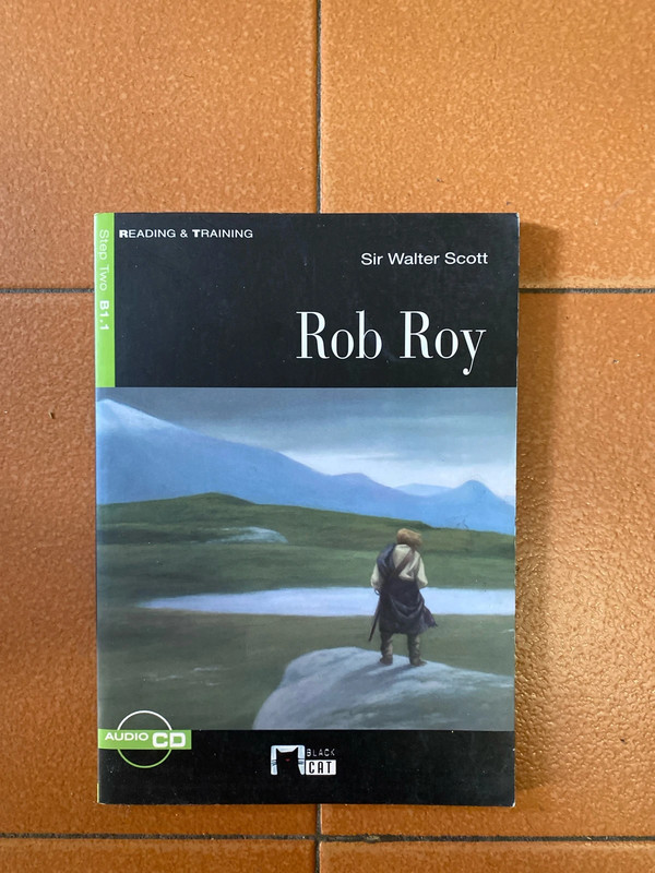 Rob boy