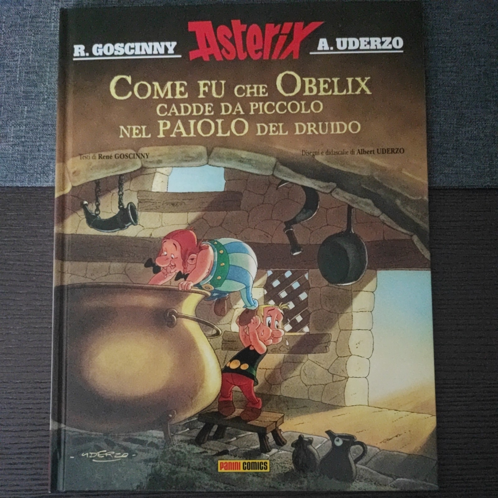 Come Fu Che Obelix Cadde Da Piccolo Nel Paiolo Del Druido