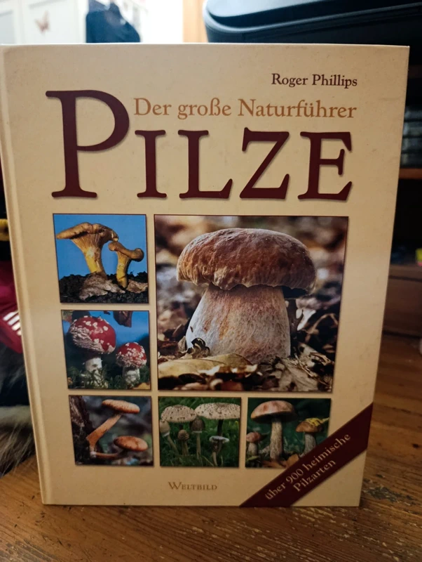 Pilze
