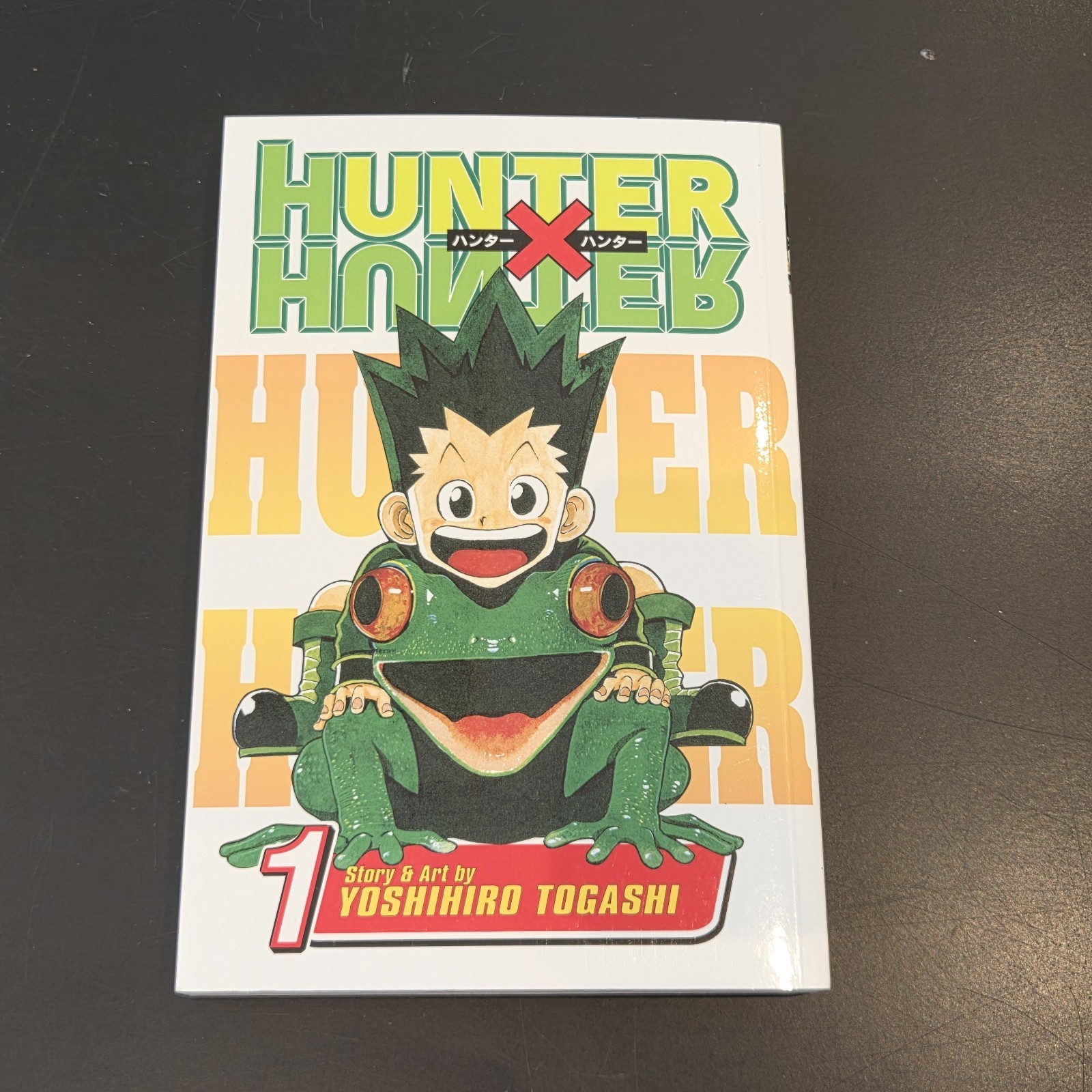 Hunter x Hunter Volume 1 Copertina inglese Yoshihiro Togashi Viz Media Manga