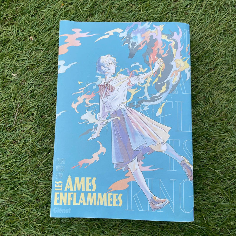 Manga Les âmes enflammées