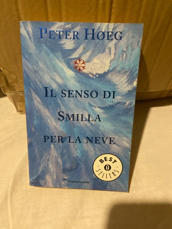 Il senso di Smilla la neve