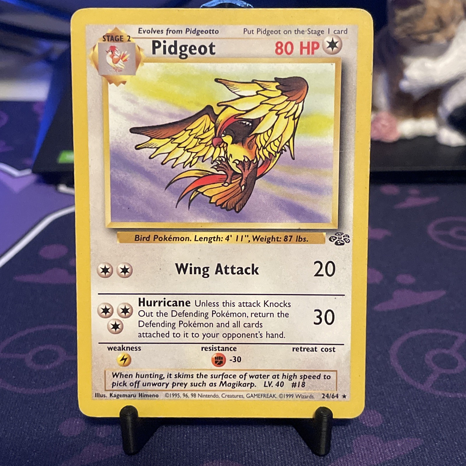 Pidgeot 24/64 Jungle Regular MP