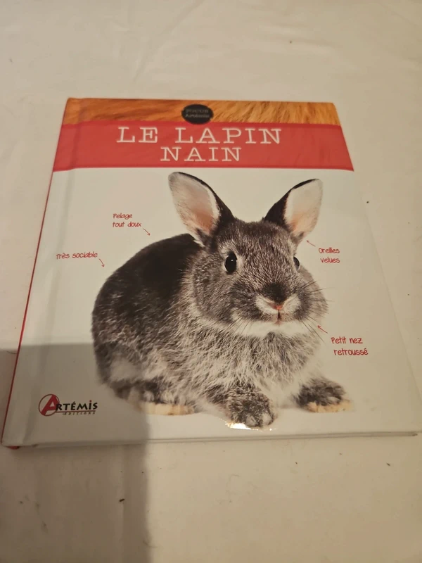 Le lapin nain