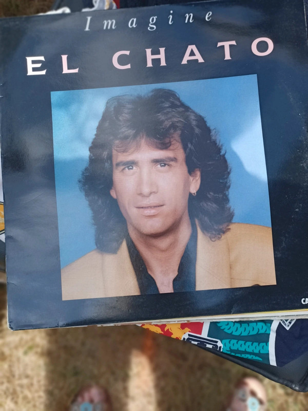 Lot de 10 vinyles el chato