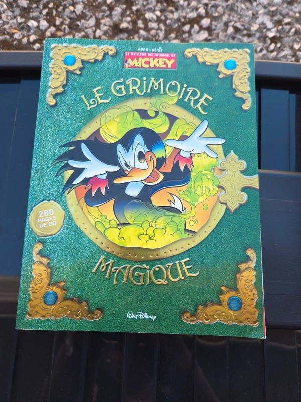 Livre le grimoire magique BD